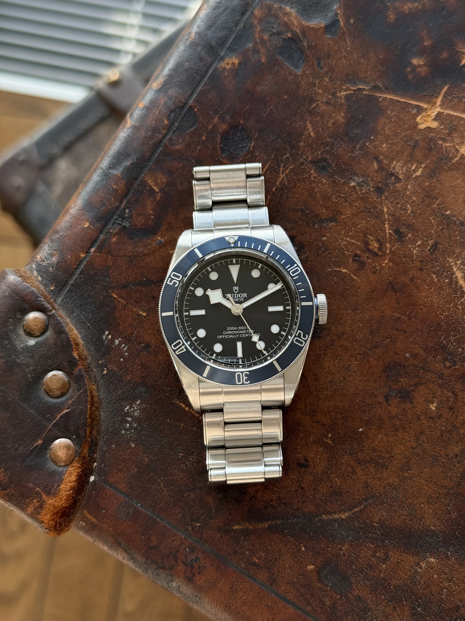 Tudor Black Bay