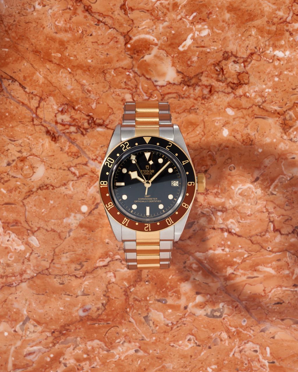 Tudor Black Bay GMT 2025 year NEW